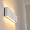 Applique murale d'extérieur Tinglev LED Blanc, 2 lumières