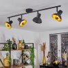 Plafonnier Neiden Noir doré, 4 lumières