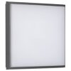 Plafonnier extérieur LCD TYP 5061 LED Noir, 1 lumière