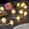 Guirlande Sondrio LED, 20 lumières