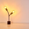 Lampe à poser Duvin Noir doré, 2 lumières
