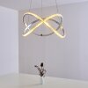 Suspension Saginaw LED Nickel mat, 1 lumière, Télécommandes, Changeur de couleurs
