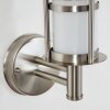 Applique extérieure Forli Acier inoxydable, 1 lumière