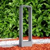 Borne lumineuse Watford LED Anthracite, 1 lumière