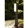 Lampadaire extérieur Trio SUEZ LED Noir, 1 lumière