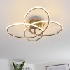 Plafonnier Sucre LED Acier brossé, 4 lumières
