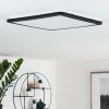 Plafonnier Siguna LED Noir, Blanc, 1 lumière