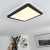 Plafonnier Siguna LED Noir, Blanc, 1 lumière