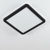 Plafonnier Siguna LED Noir, Blanc, 1 lumière