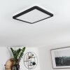 Plafonnier Siguna LED Noir, Blanc, 1 lumière