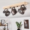 Plafonnier Herford Bois clair, Cuivre, 3 lumières