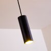 Suspension Zuoz Noir, 1 lumière