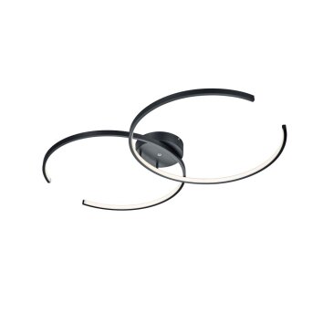 Plafonnier Trio Leuchten WIZ CITIZEN LED Noir, 2 lumières, Télécommandes, Changeur de couleurs Plafonnier Trio Leuchten WIZ CITIZEN LED Noir, 2 lumières, Télécommandes, Changeur de couleurs