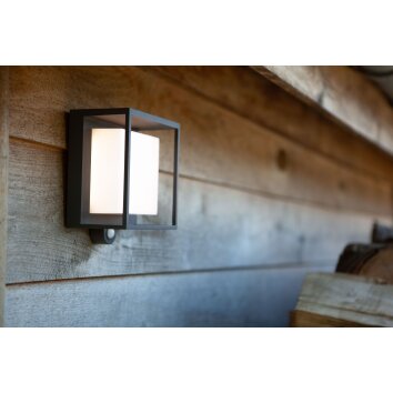 Applique murale Lutec Curtis Solar LED Anthracite, 1 lumière, Détecteur de mouvement
