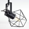 Plafonnier Maracambo Bois foncé, Noir, 4 lumières