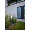 Borne lumineuse Lutec Kira LED Anthracite, 1 lumière