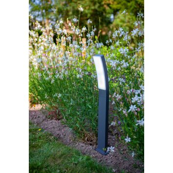 Borne lumineuse Lutec Kira LED Anthracite, 1 lumière