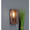 Applique murale d'extérieur Lutec Mondrian Bronze, 1 lumière