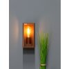 Applique murale d'extérieur Lutec Mondrian Bronze, 1 lumière