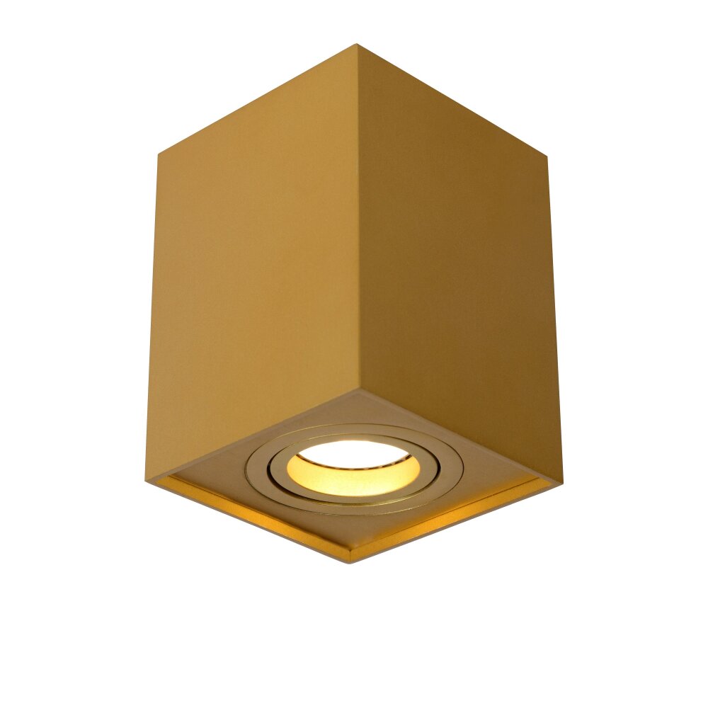 Spot de plafond Lucide TUBE Or, Laiton, 1 lumière main product photo