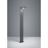 Borne lumineuse Trio Nelson LED Anthracite, 1 lumière
