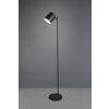 Lampadaire Reality Blake LED Noir, 1 lumière