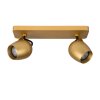 Spot de plafond Lucide PRESTON LED Or, Laiton, 2 lumières