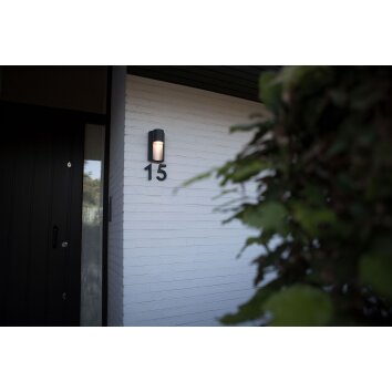 Applique murale d'extérieur Lutec Urban Anthracite, 1 lumière