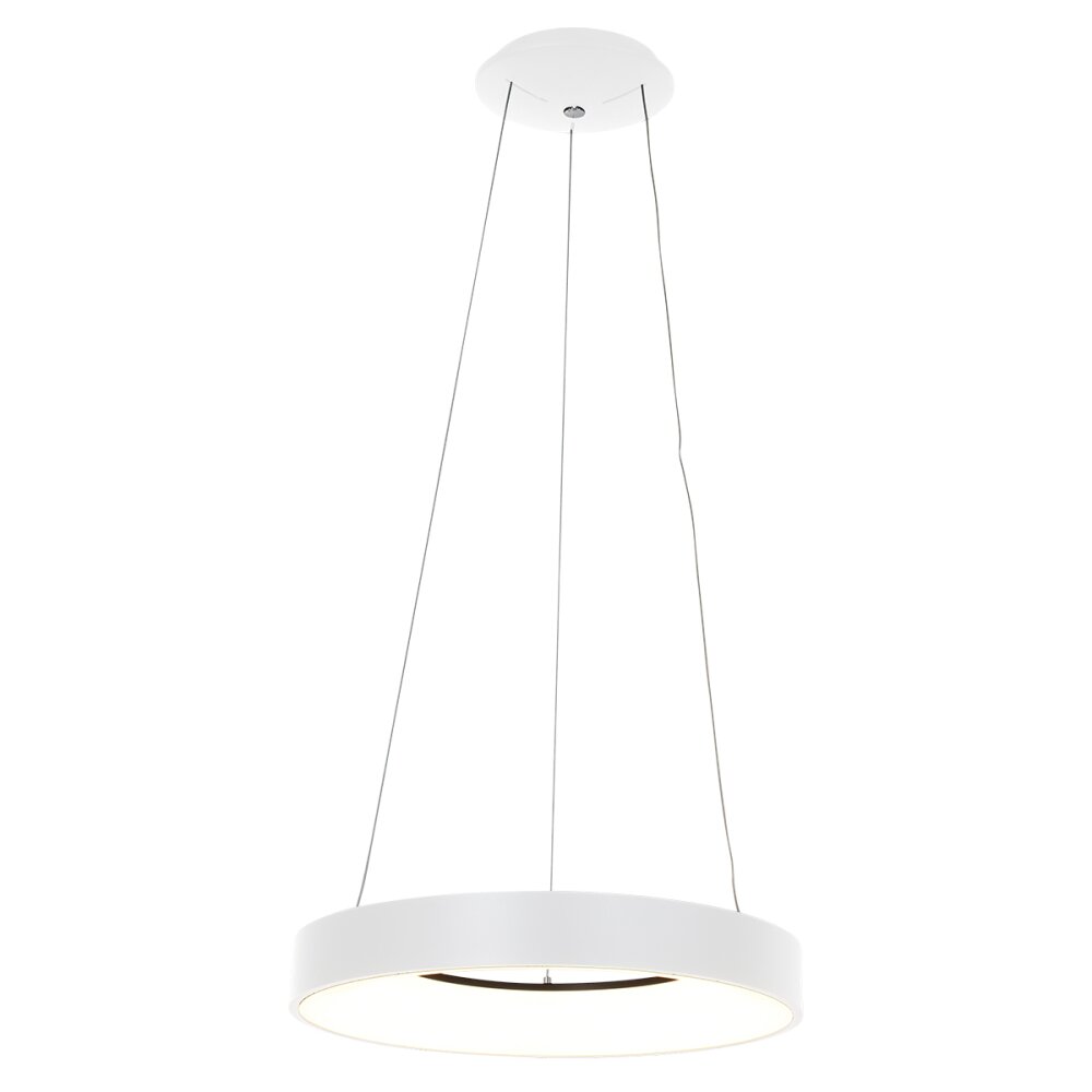 Suspension Steinhauer Ringlede Blanc, 1 lumière main product photo