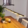 Suspension Hogana LED Anthracite, 1 lumière