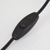 Lampe de table Mialo Noir, 1 lumière