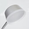 Lampe de table Pineda LED Chrome, 1 lumière