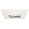 Plafonnier Globo LAMBRUS LED Blanc, 1 lumière