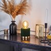 Lampe de table Weruga Vert, Laiton, 1 lumière
