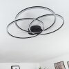 Plafonnier Johsa LED Noir, 3 lumières
