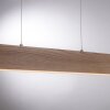 Suspension Paul Neuhaus Q-TIMBER LED Bois clair, 1 lumière, Télécommandes