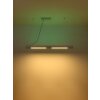 Suspension Globo HODARI LED Blanc, 1 lumière, Télécommandes, Changeur de couleurs