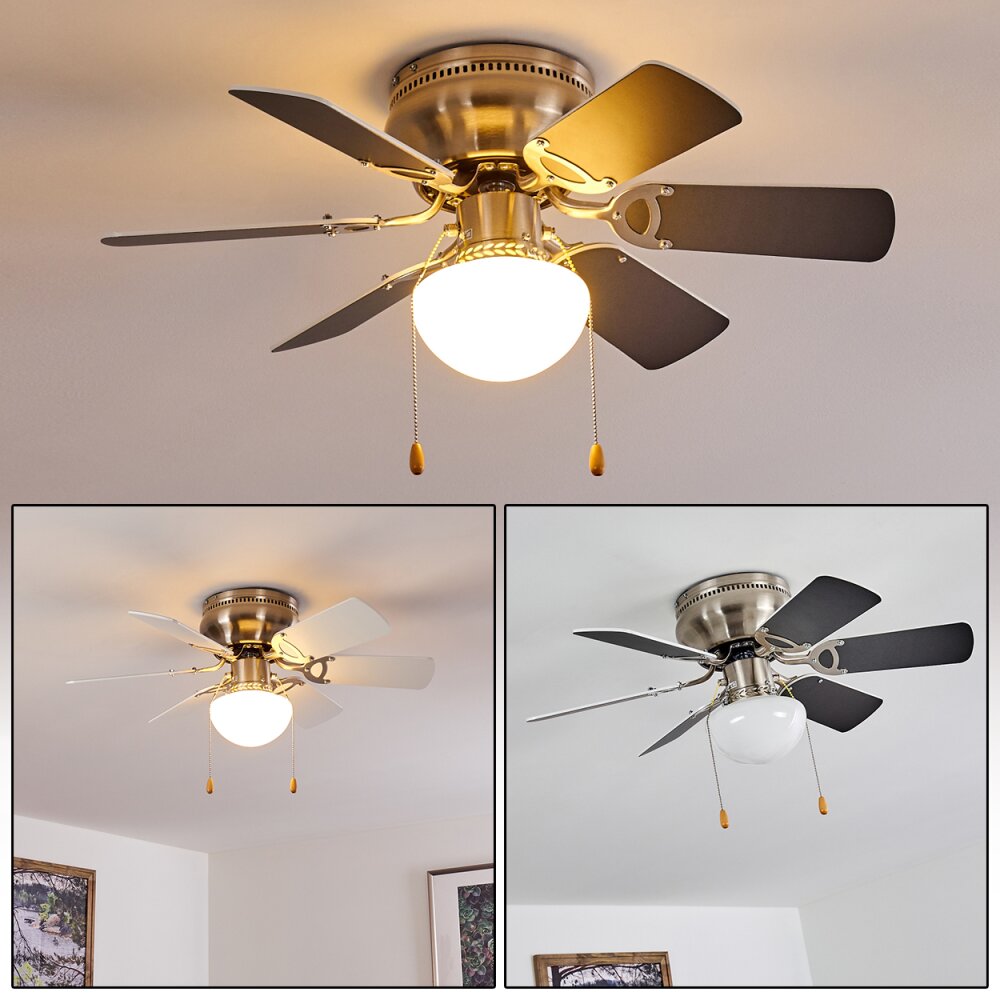 Ventilateur de plafond Trillo Gris, Nickel mat, Blanc, 1 lumière main product photo