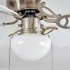 Ventilateur de plafond Trillo Gris, Nickel mat, Blanc, 1 lumière