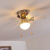 Ventilateur de plafond Trillo Gris, Nickel mat, Blanc, 1 lumière