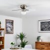 Ventilateur de plafond Trillo Gris, Nickel mat, Blanc, 1 lumière