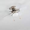 Ventilateur de plafond Trillo Gris, Nickel mat, Blanc, 1 lumière