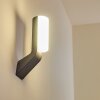 Applique murale d'extérieur Bovlund LED Noir, 1 lumière