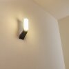 Applique murale d'extérieur Bovlund LED Noir, 1 lumière