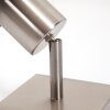 Plafonnier Chagres Nickel mat, 1 lumière