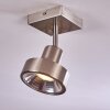 Plafonnier Chagres Nickel mat, 1 lumière