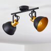 Plafonnier Blackburn Noir doré, 2 lumières