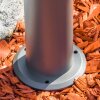 Borne lumineuse TETLIN LED Anthracite, 3 lumières