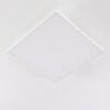 Plafonnier Buenaventura LED Blanc, 1 lumière, Télécommandes