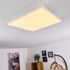 Plafonnier Buenaventura LED Blanc, 1 lumière, Télécommandes